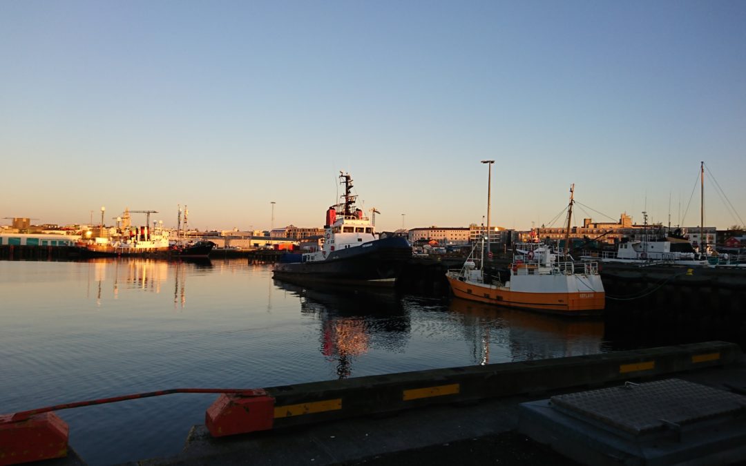 Nokkur verkefni í maí