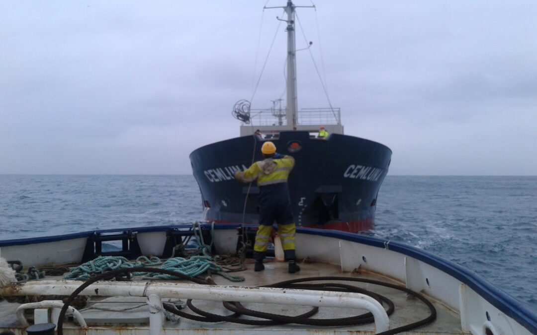 Cemluna dreginn í land